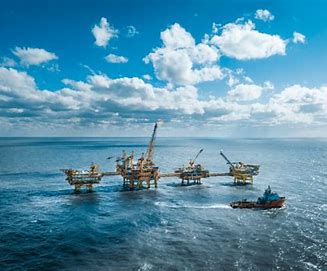 2025���ҹ��͡����������¸ߣ���Դ������Ч����